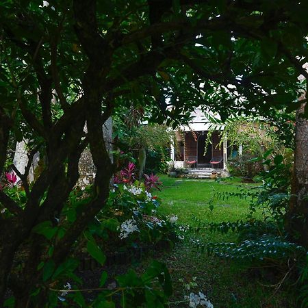 Bed and Breakfast Le Medinilla Bras-Panon Exteriér fotografie