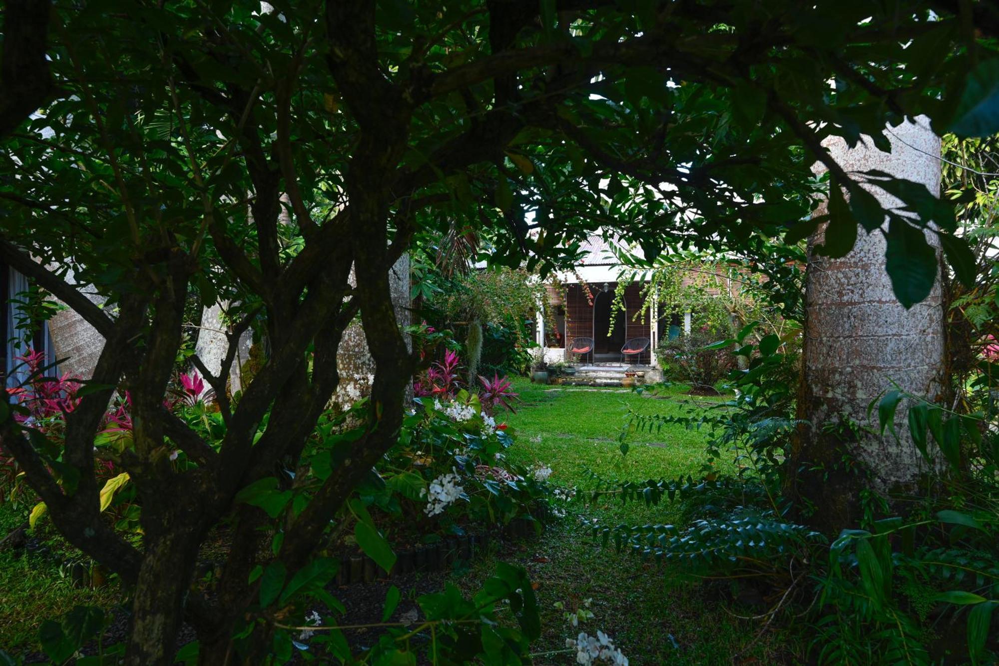 Bed and Breakfast Le Medinilla Bras-Panon Exteriér fotografie