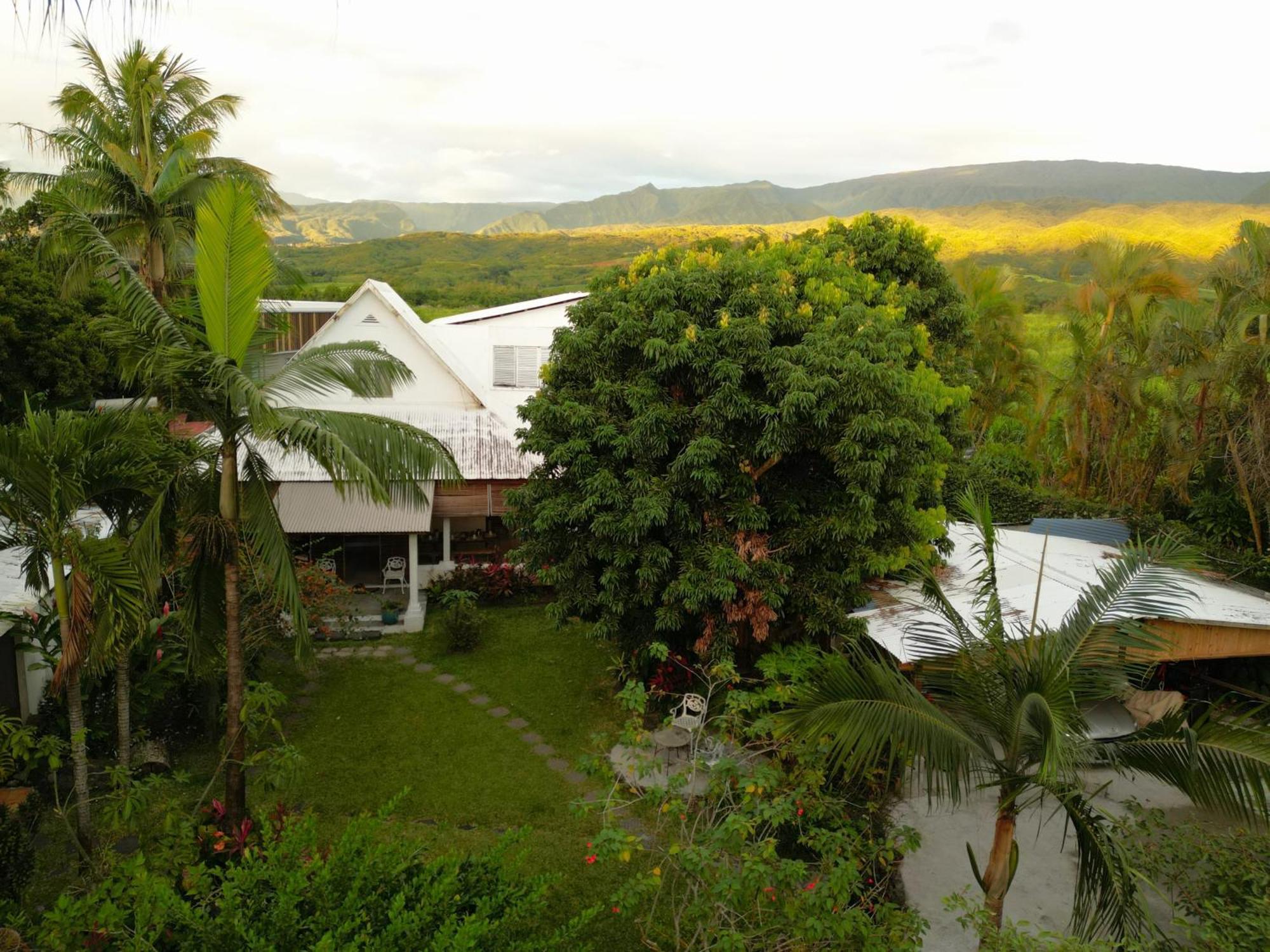 Bed and Breakfast Le Medinilla Bras-Panon Exteriér fotografie